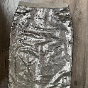 Skirt Banana Republic 8